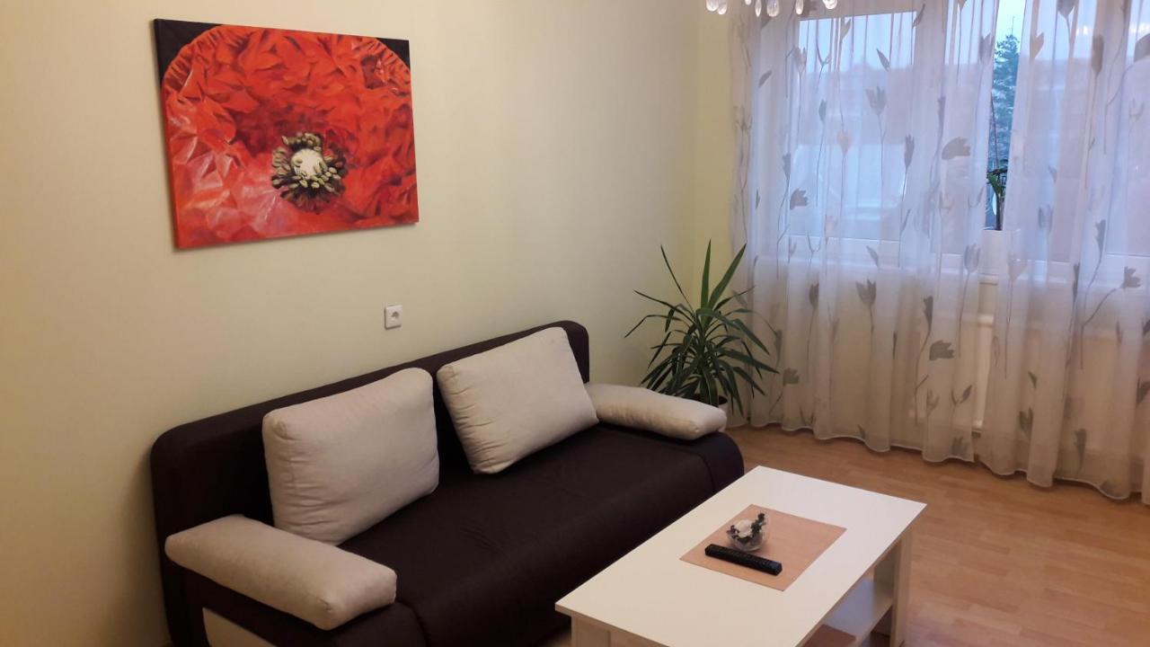 Grazinos Apartamentai Panevėžys Dış mekan fotoğraf